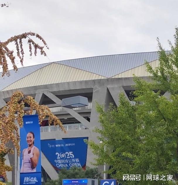 最好命的金, 猜测, 在列