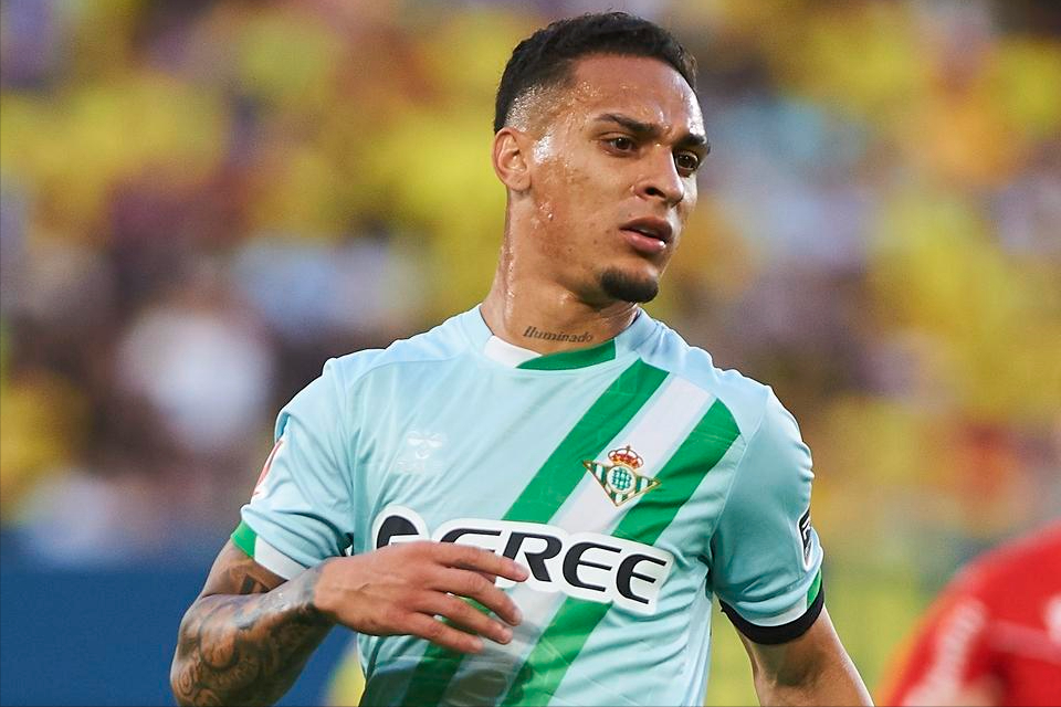 科梅萨尼亚, 所罗门, 并且成为了